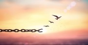 A Prayer to Show Mercy to Others - Your Daily Prayer - May 12