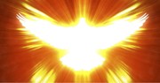 In the Presence of God - Week of June 13