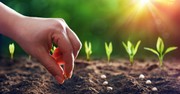 What Kind of Seeds Will You Plant? - The Crosswalk Devotional - May 22